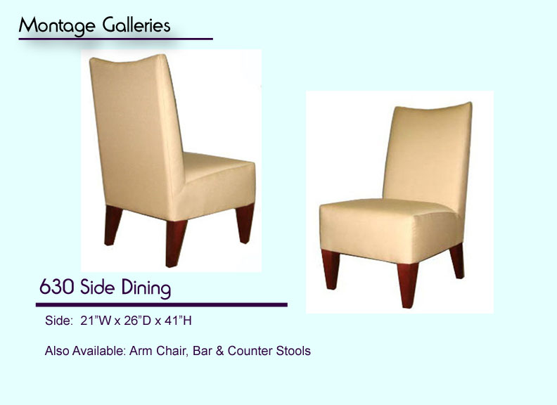 CSI_Montage_Galleries_630_Side_Dining_Chair