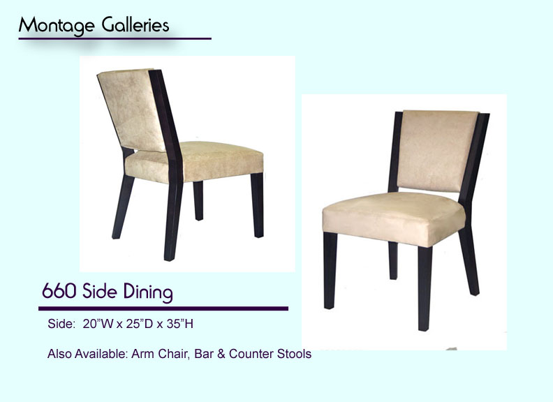 CSI_Montage_Galleries_660_Side_Dining_Chair